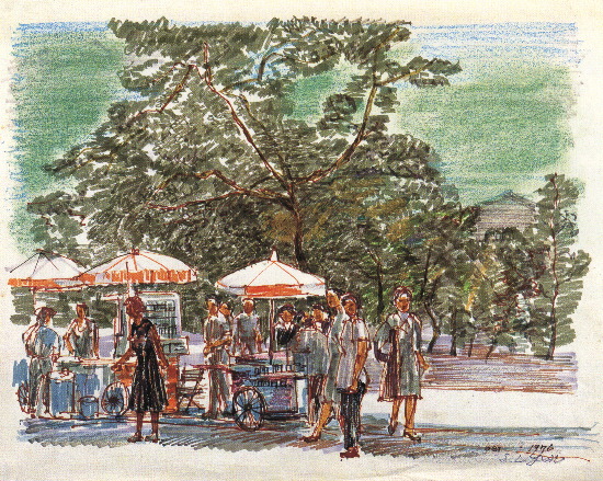 公園一隅